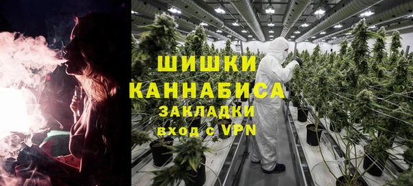 сатива Абдулино