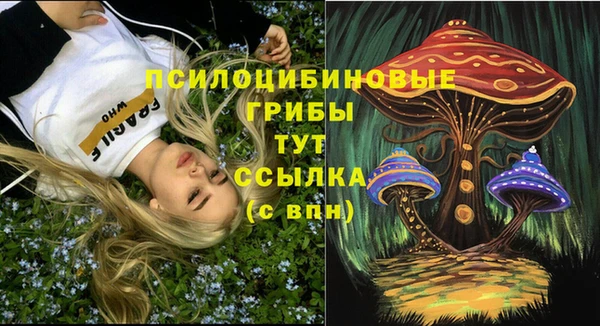 сатива Абдулино