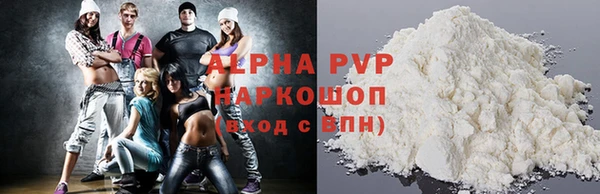 гашик Новодвинск