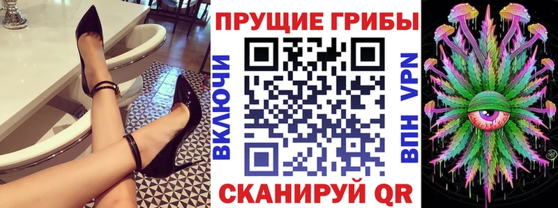 хочу наркоту  mega tor  Псилоцибиновые грибы Cubensis  Карабаново 